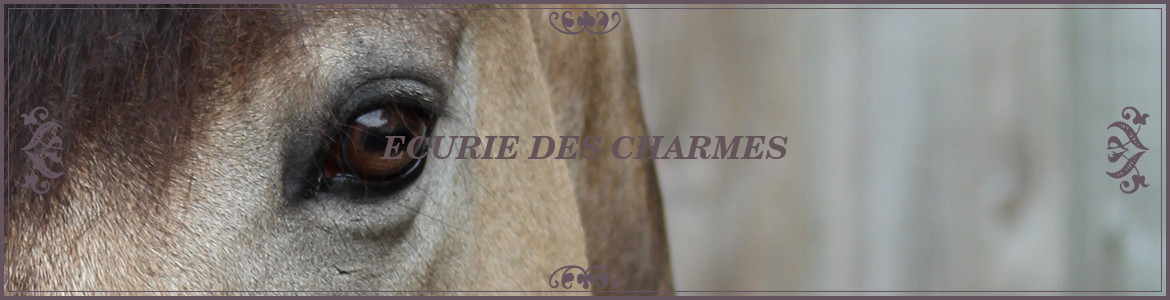 ECURIE DES CHARMES